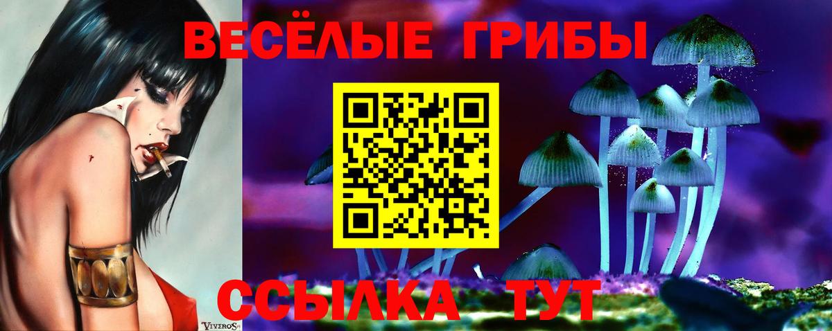 Галлюциногенные грибы прущие грибы  Вход с VPN  Мценск 